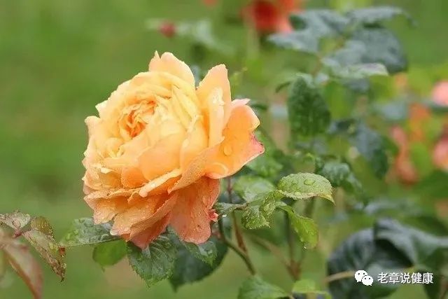 640 (10).jpg 640 (10).jpg