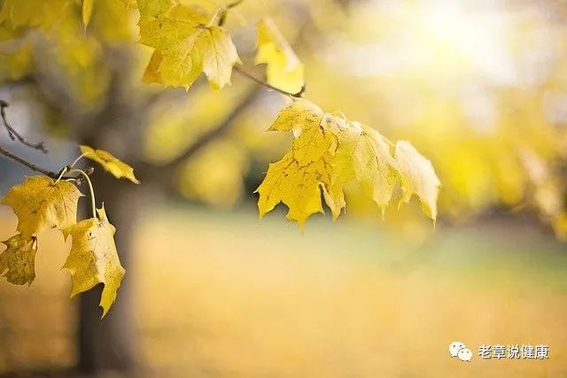 640 (18).jpg 640 (18).jpg