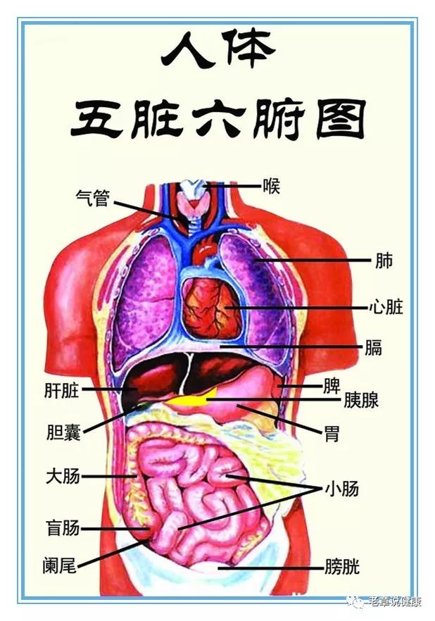 640 (10).jpg 640 (10).jpg
