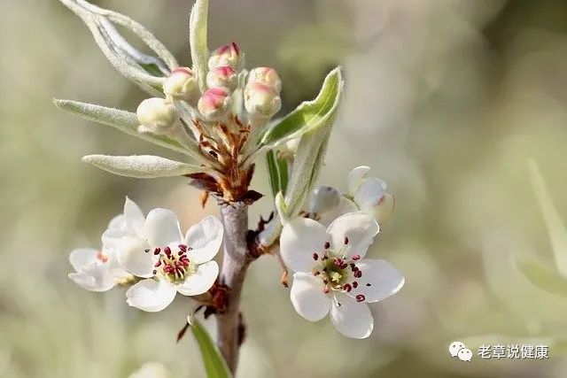 640 (12).jpg 640 (12).jpg