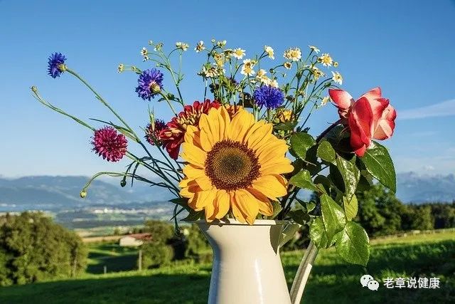 640 (2).jpg 640 (2).jpg