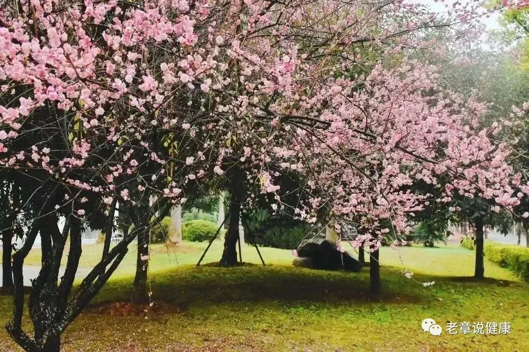 640 (2).jpg 640 (2).jpg