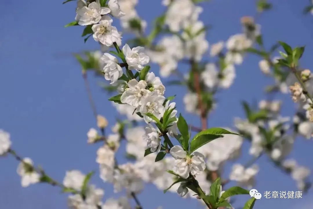 640 (3).jpg 640 (3).jpg