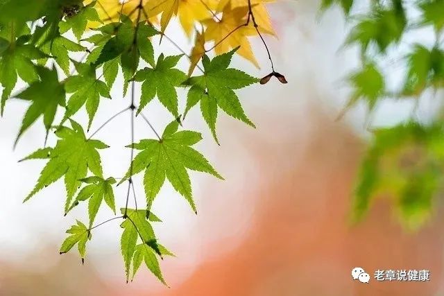 640 (4).jpg 640 (4).jpg