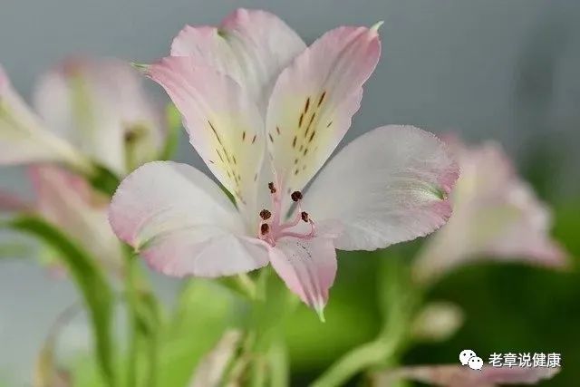 640 (5).jpg 640 (5).jpg